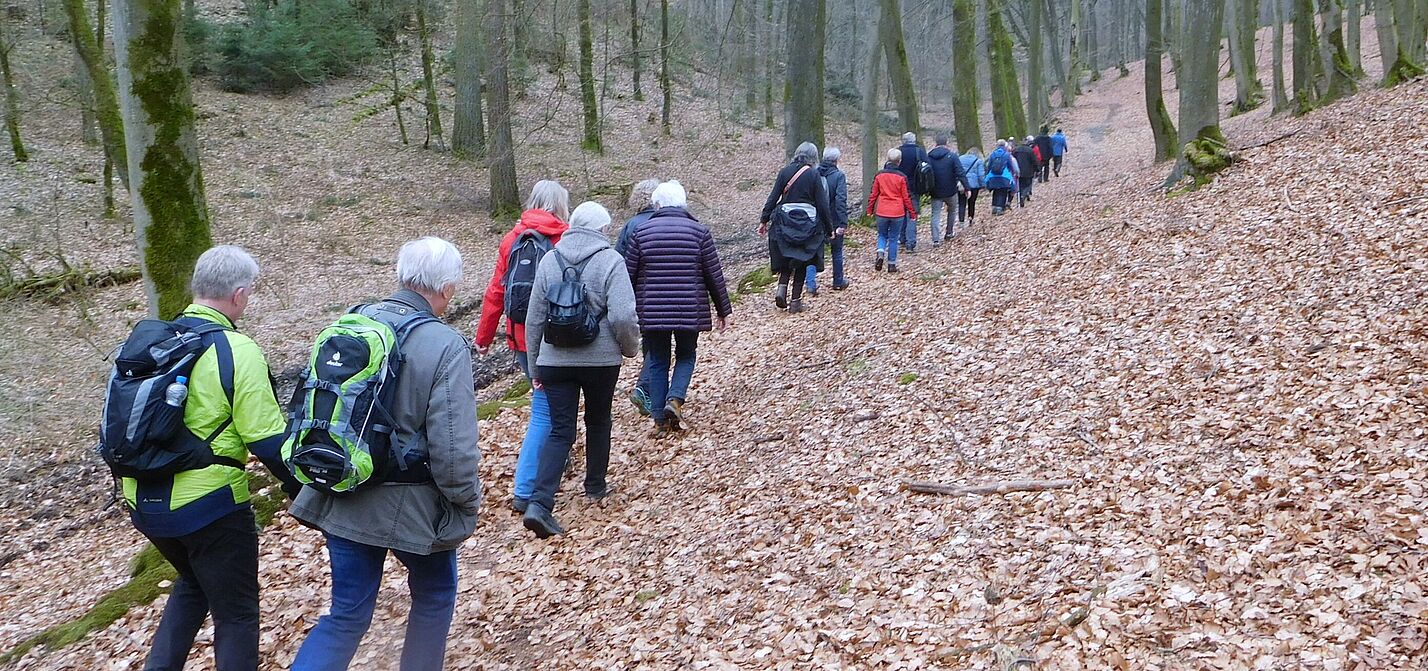 Wanderung_2 Frühlingswanderung