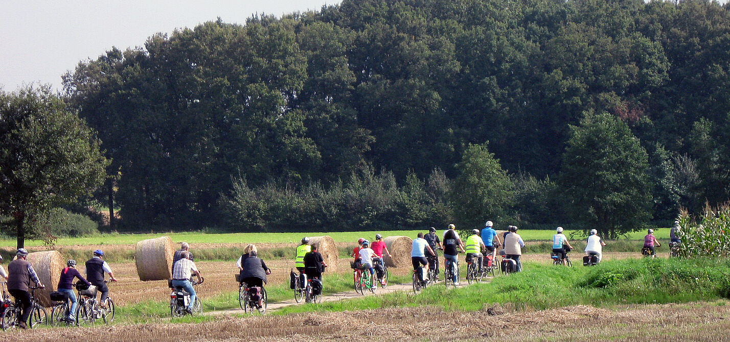 Münsterland Münsterland